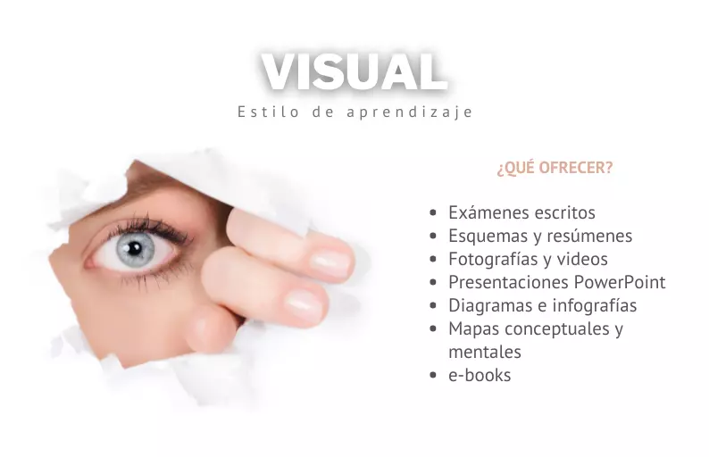Estilo de aprendizaje de alumnos visuales