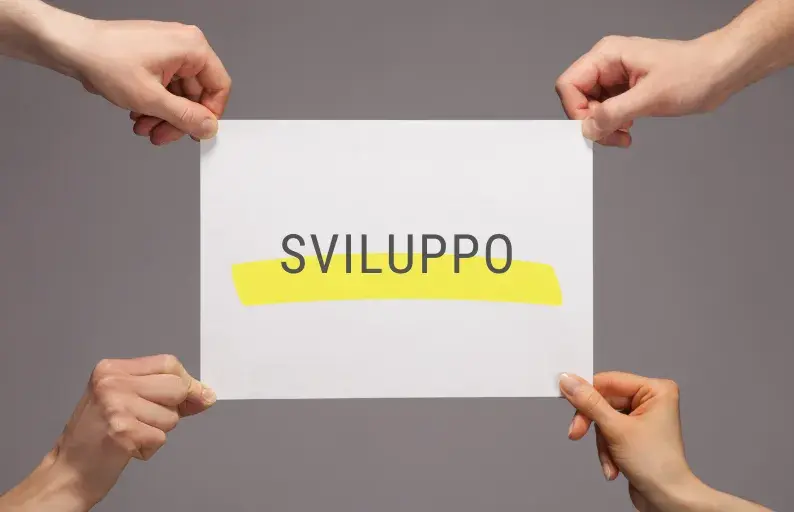 Fase di sviluppo