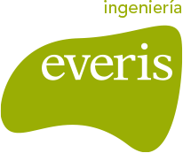 everis