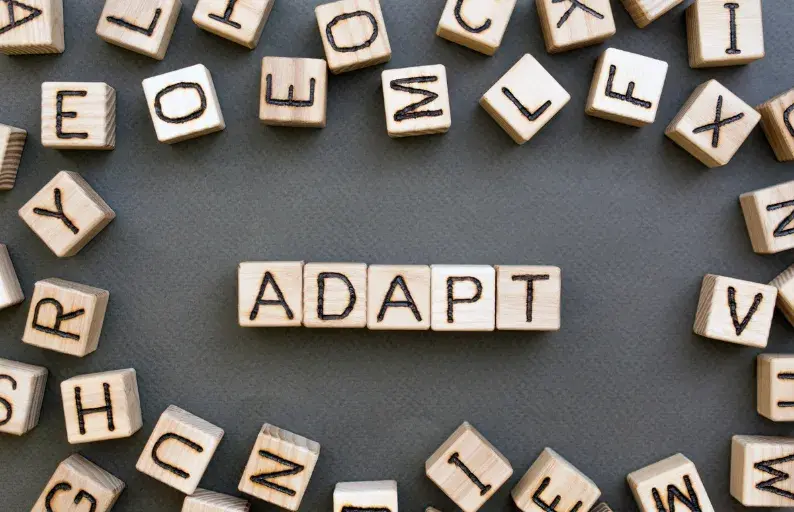 Adaptación al cambio y capacidad de innovación​