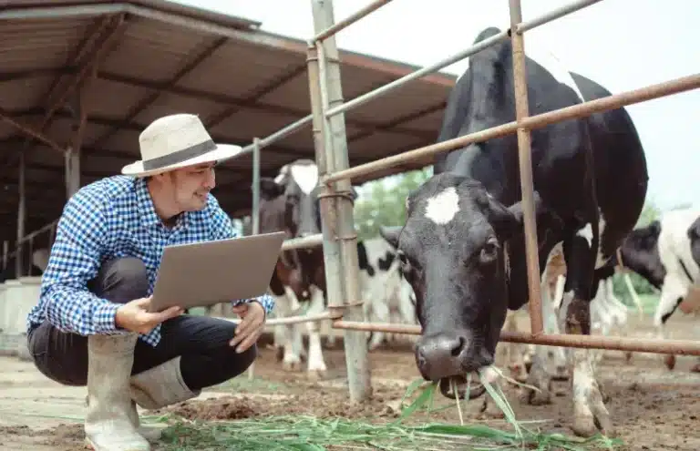 How online learning in rural areas helps overcome these barriers