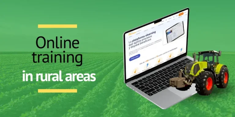 Online learning in rural areas